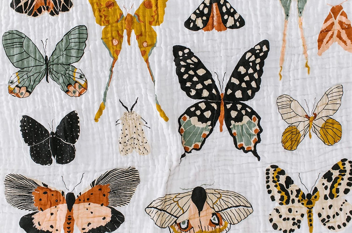 Clementine Kids “Butterfly Collector Quilt”