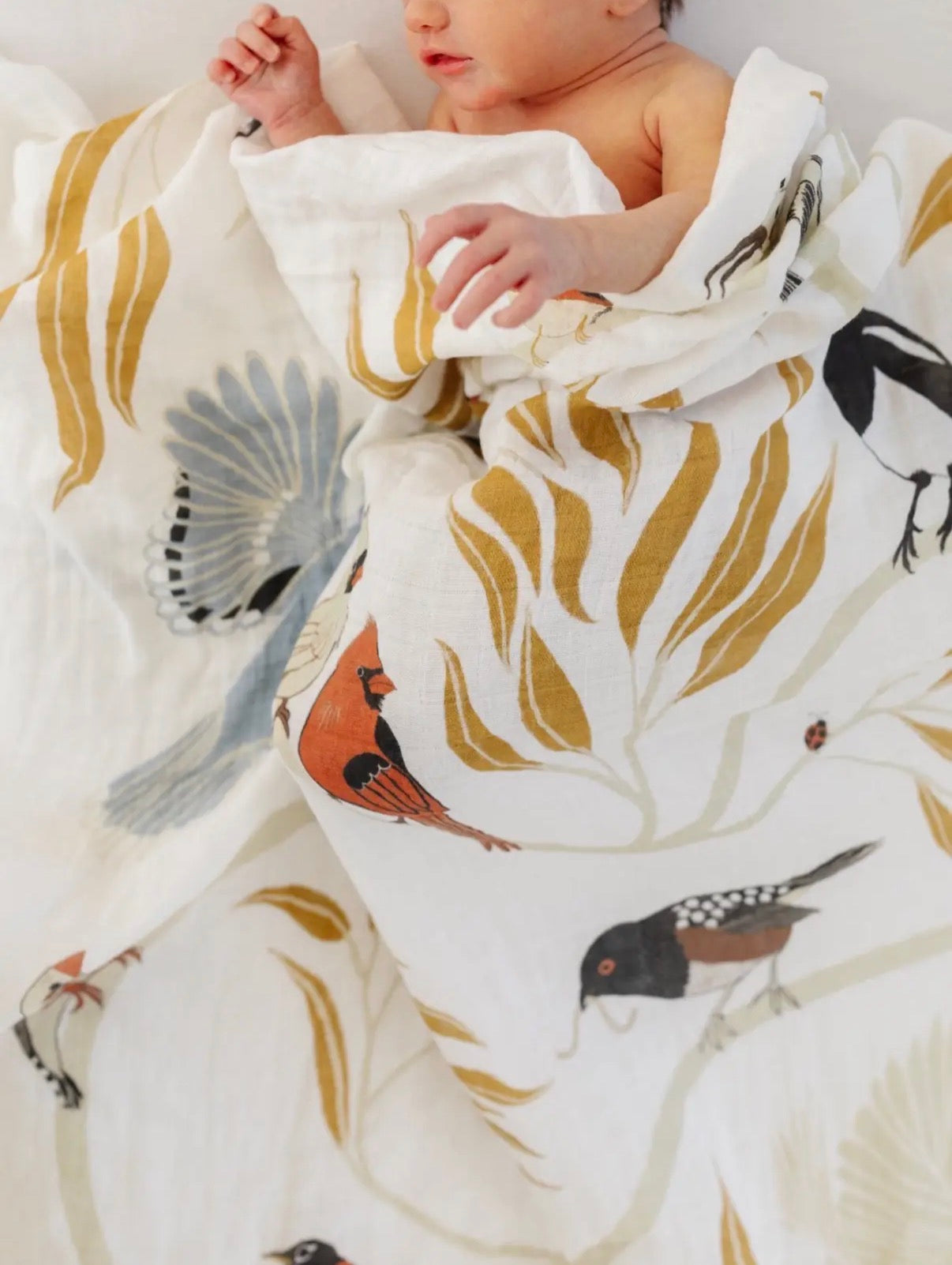 New! "For the Birds" Swaddle