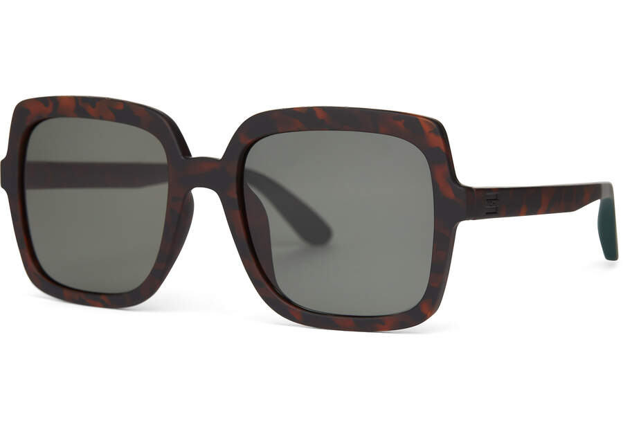 “Athena” Tortoise TRAVELER Sunglasses by TOMS