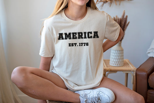 “America, Established in 1776” Tee