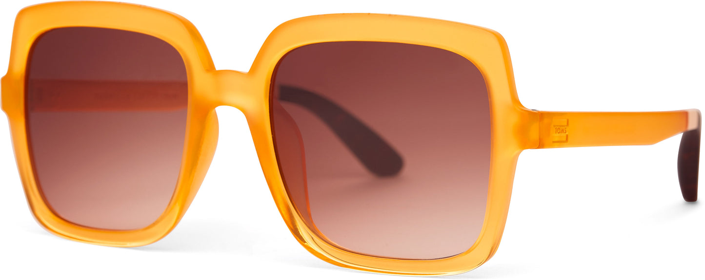 “Athena” Tortoise TRAVELER Sunglasses by TOMS