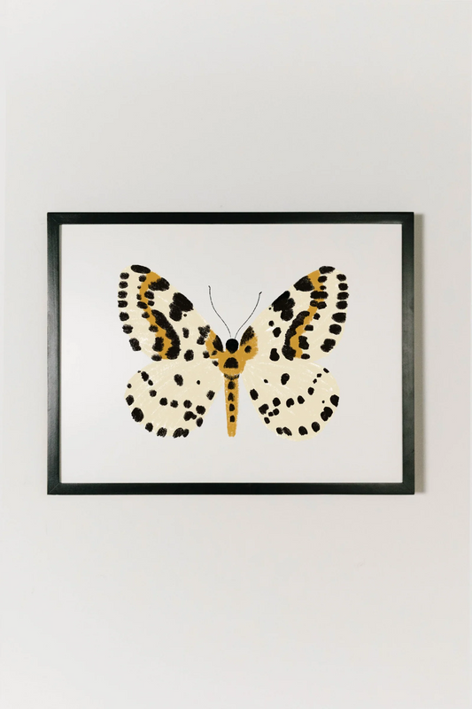 Butterfly Wall Art