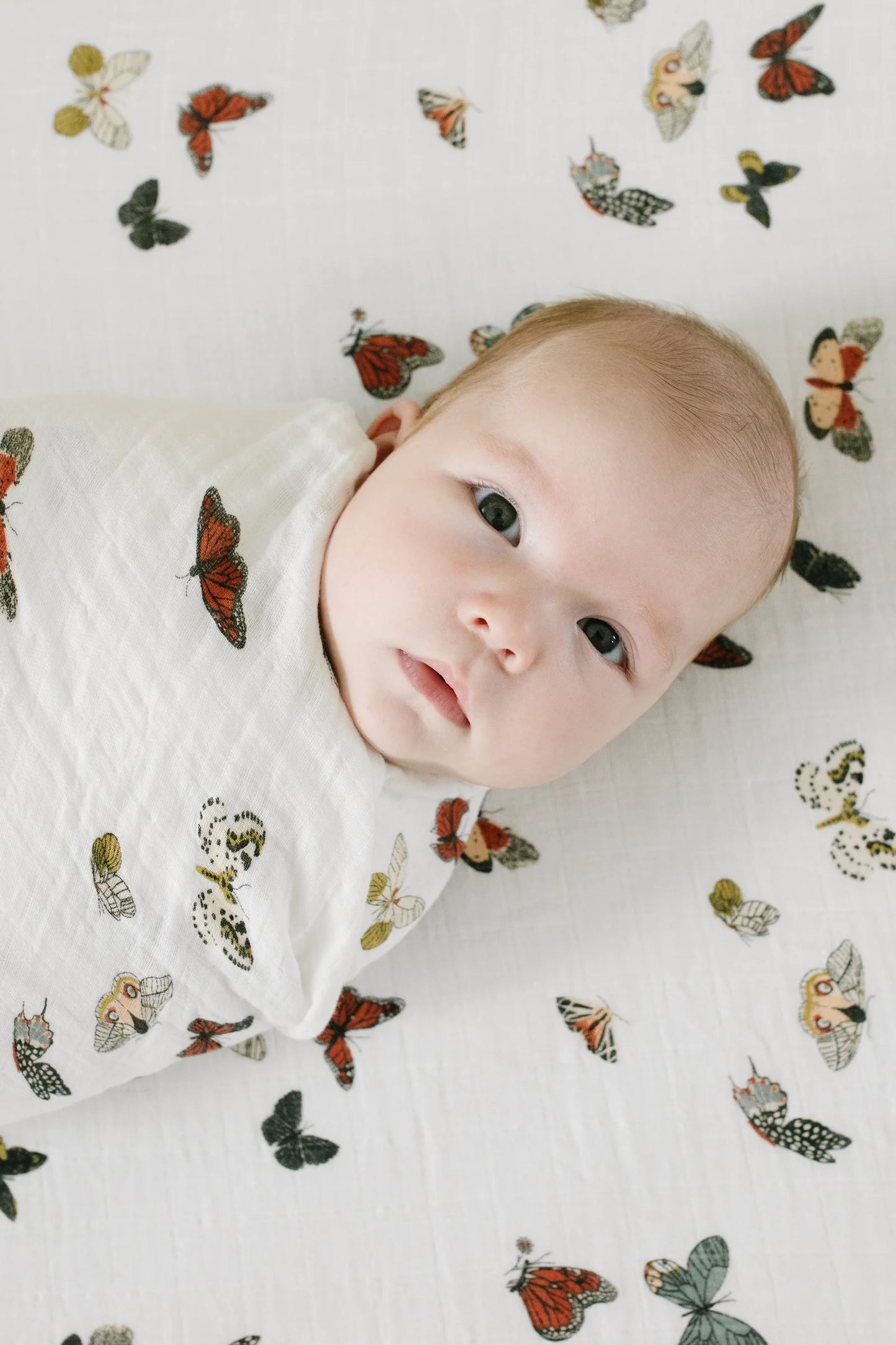 Butterfly Migration Crib Sheet