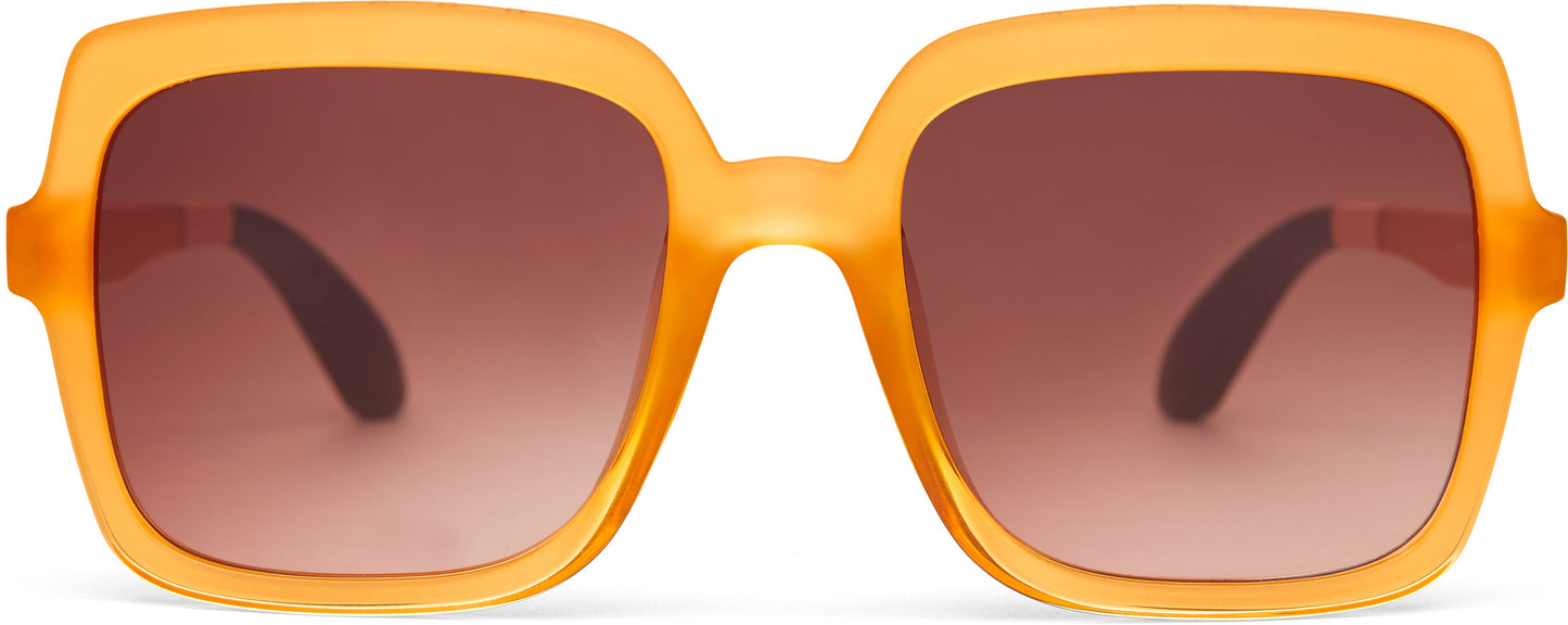 “Athena” Tortoise TRAVELER Sunglasses by TOMS