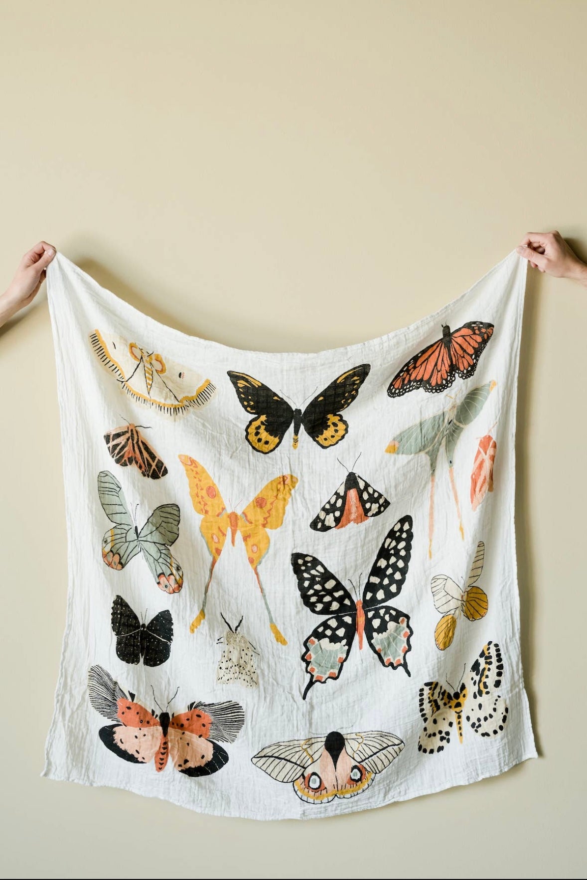 Clementine Kids “Butterfly Collector Swaddle”